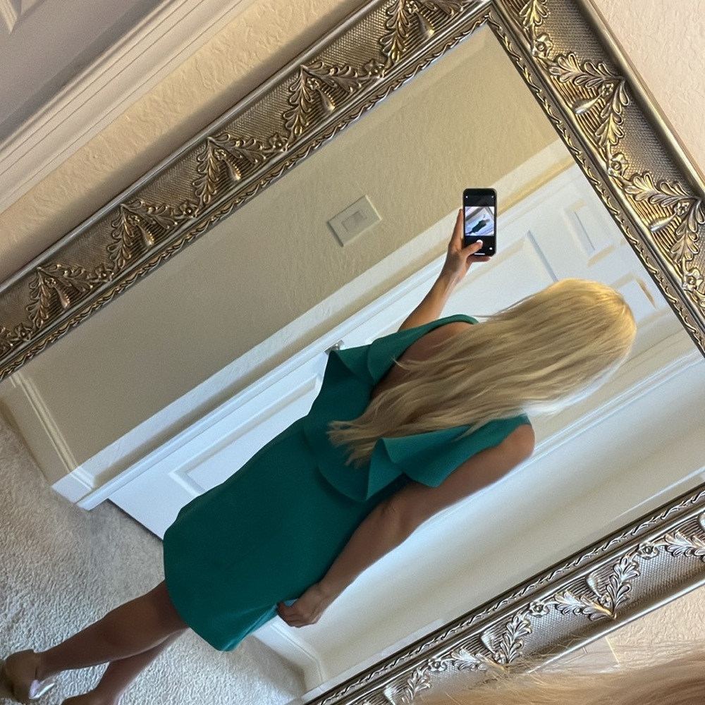 🪷RACHEL RACHEL ROY 🪷 beautiful Atlantis dress with golden zipper and open back . - Picture 4 of 16
